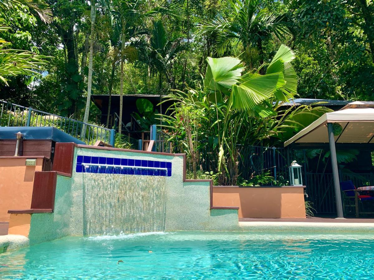 Cairns Rainforest Retreat Exterior foto