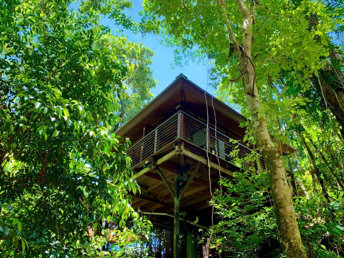 Cairns Rainforest Retreat Exterior foto