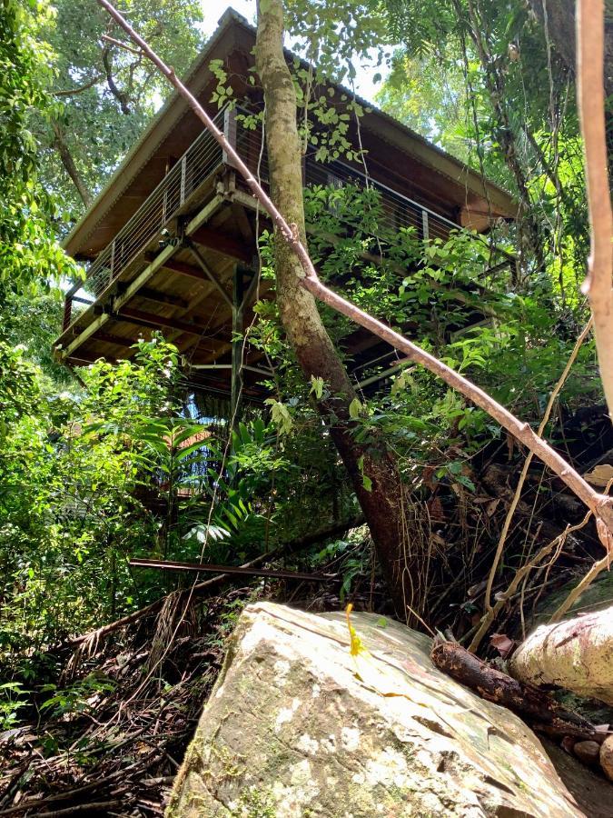 Cairns Rainforest Retreat Exterior foto