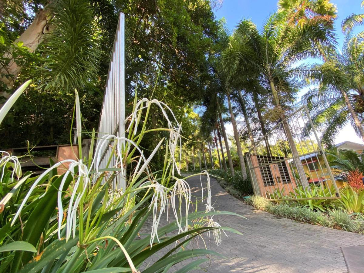 Cairns Rainforest Retreat Exterior foto